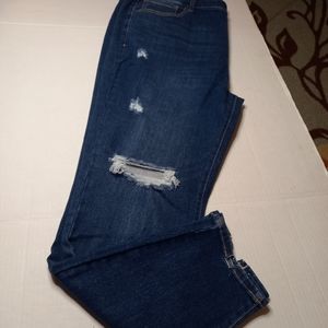 Dark Wash Distressed Skinny Jeans Women's 2x